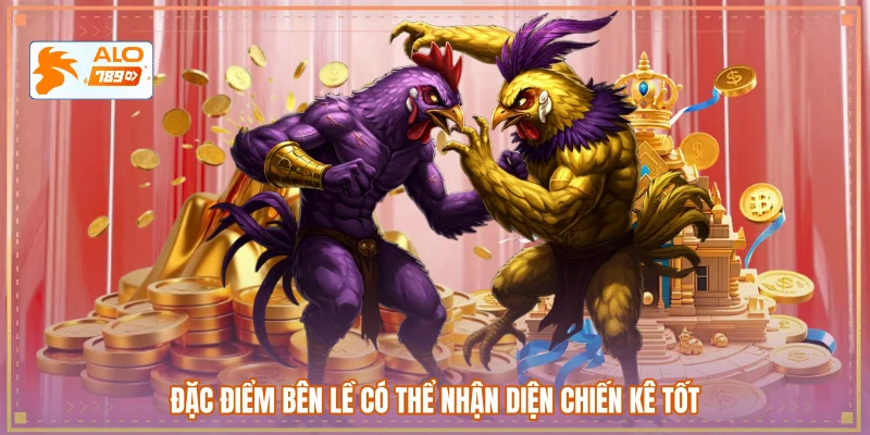 Đặc điểm bên lề có thể nhận diện chiến kê tốt